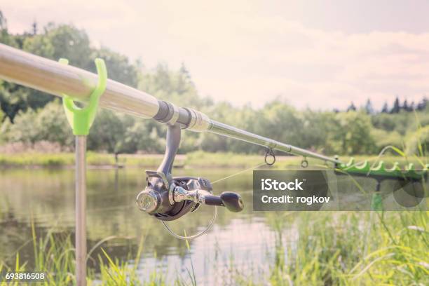 The Fishingrod Standing On A Support Thrown In Water For Fishing Stock Photo - Download Image Now