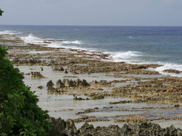 istock Seashore covered with coral rocks, Rota 693817470