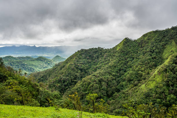 istock mountain peak and mountain ridge in rain forest and raining fog 693822582