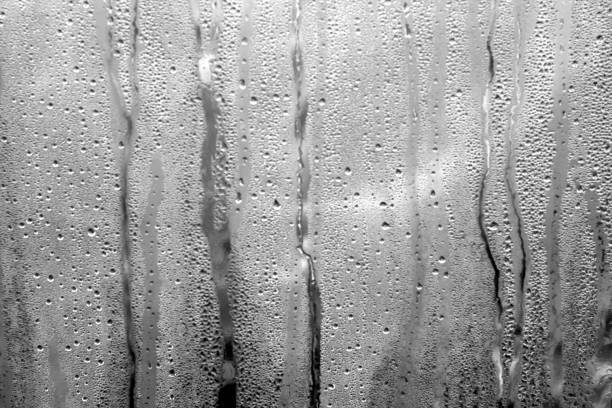 istock condensation drops on pvc greenhouse. 693822718