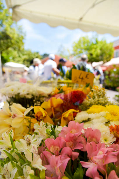 a view of the Marche aux Fleurs, the famous flower market in the Old Town of Nice, France