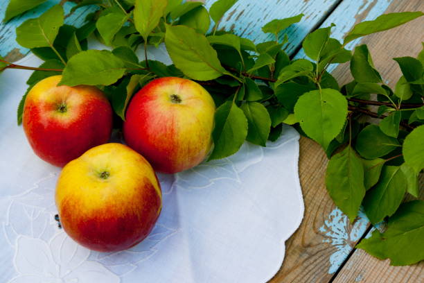 istock Red apples on the old wooden table. 693834014