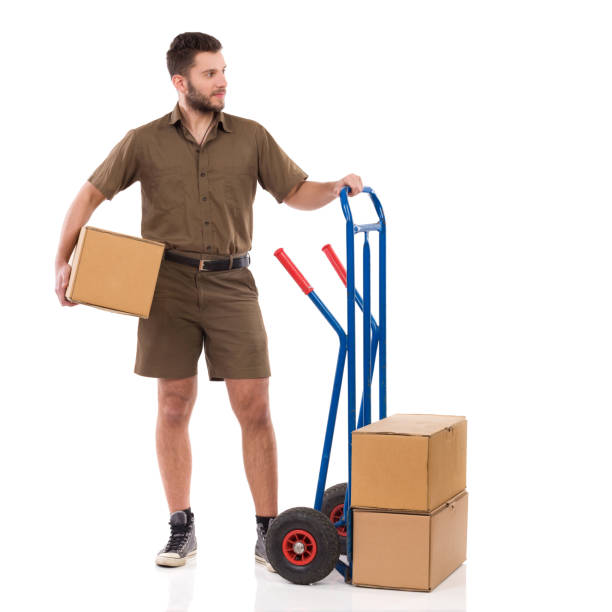istock Messenger Is Standing Close To Push Cart And Looking Away 693853684