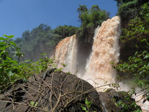 istock Parque National Iquazu 693857750