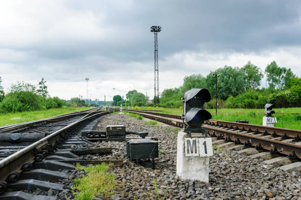 istock Railroad tracks into a distance. 693860586