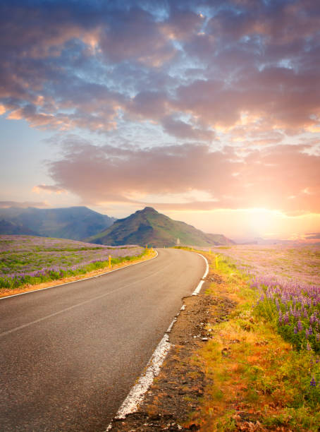 istock Road in Iceland in sunset light 693860896