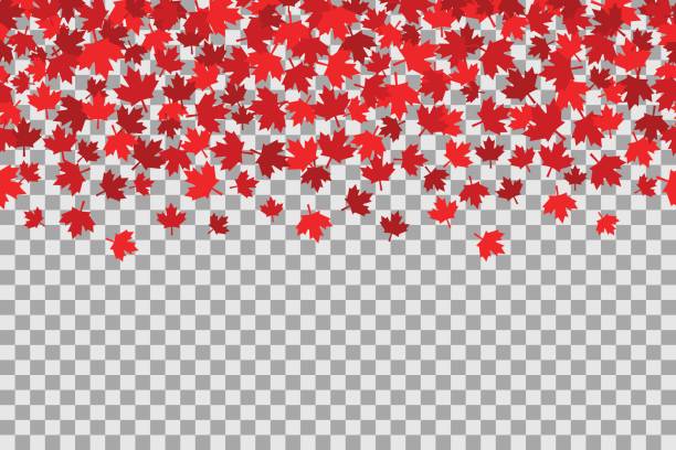 Seamless pattern with stars for 1st of July celebration on transparent background. Canada Day vector art illustration