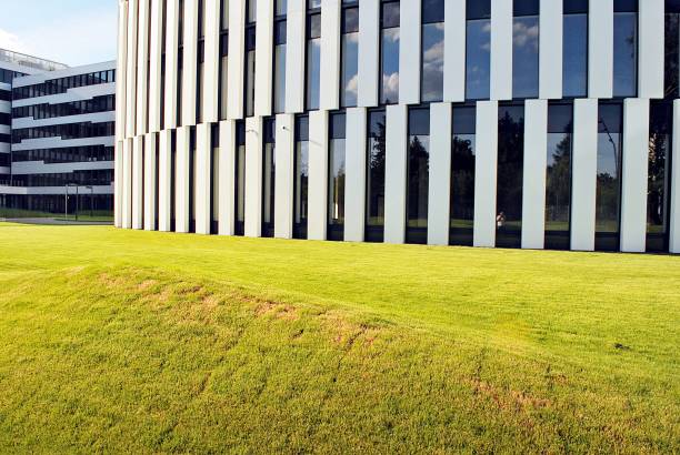 istock Modern building. Modern office building with facade of glass 693867236