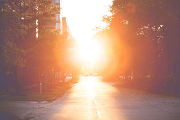 istock Sunset on downtown city road with skyscraper. 693871612