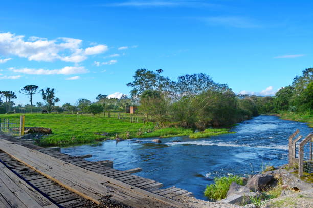 istock Rural landscape of Joinville 693874608