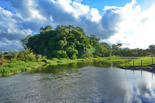 istock Rural landscape of Joinville 693874666