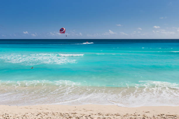 istock Caribbean sea coastline 693874864