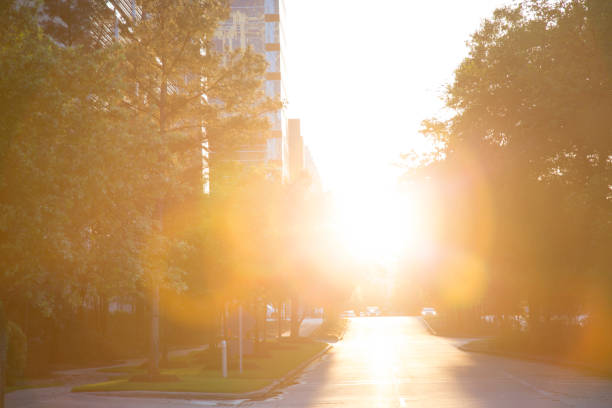 istock Sunset on downtown city road with skyscraper. 693874902