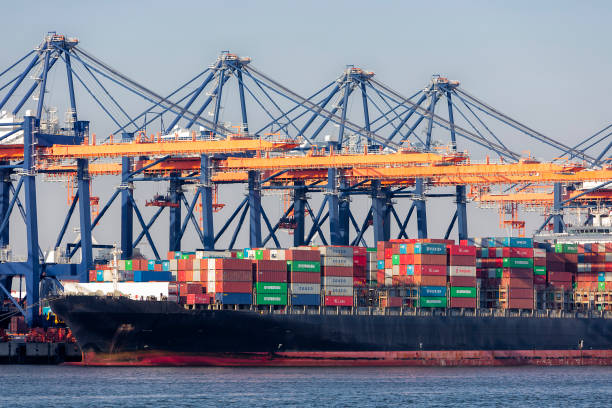 istock Cargo Ships and Container Gantry Cranes at Sunset, Hamburg Harbor, Germany 693878104