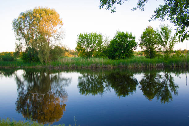 istock Reflection of trees in the river 693880534