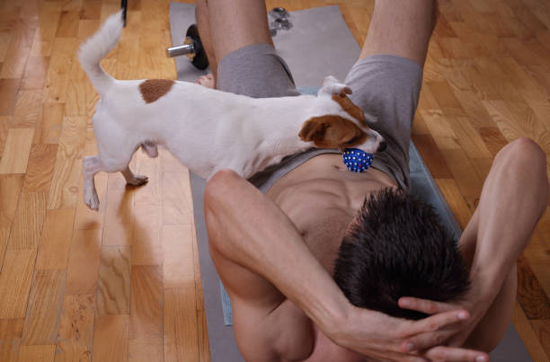 istock Muscular man doing abs exercises at home with dog watching him. 693884086