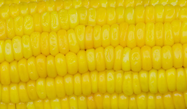 close up of yellow corn seeds texture stock photo