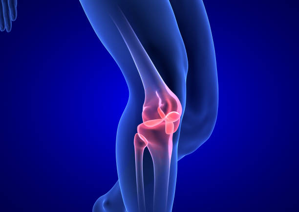 istock Knee Pain. Blue Human Anatomy Body 3D render on blue background 693904830