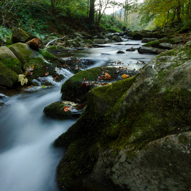 istock Beautiful natural waterfall in Bieszczady 693905152