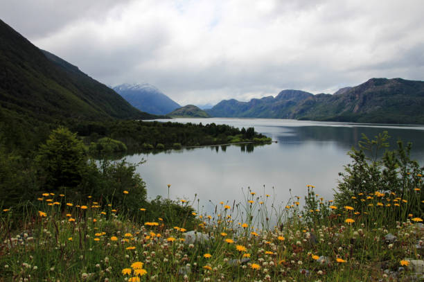 istock Swans Lake, Patagonia, Chile 693908106