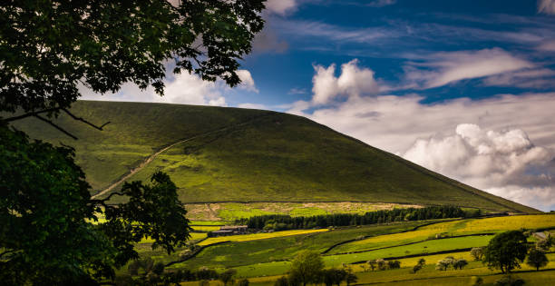 a view on pendle hill with tree branches - pendle imagens e fotografias de stock