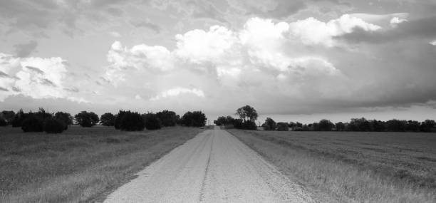 istock Panoramic Open Graven Road Rural Texas Black and White 693913178