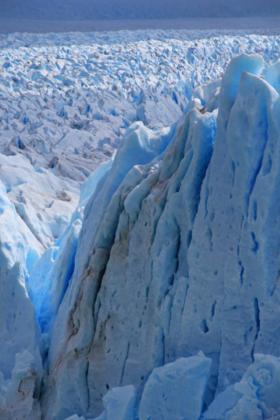 istock Perito Moreno glacier, Patagonia, Argentina 693915846