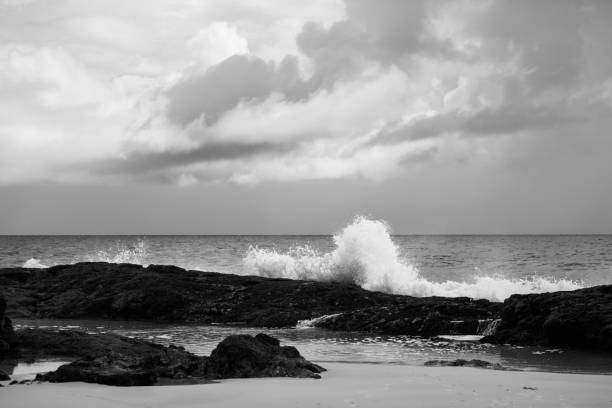 istock Pristine beachfront at North Point, Moreton Island. Black and White. 693931790