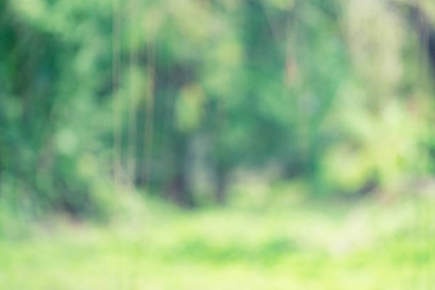 istock Green garden blurred background 693931862