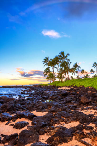 istock Sunrise behind palm trees in Kauai, Hawaii 693937192