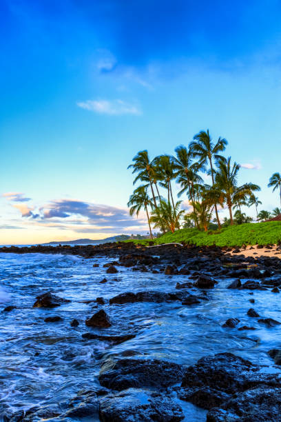 istock Sunrise behind palm trees in Kauai, Hawaii 693937200