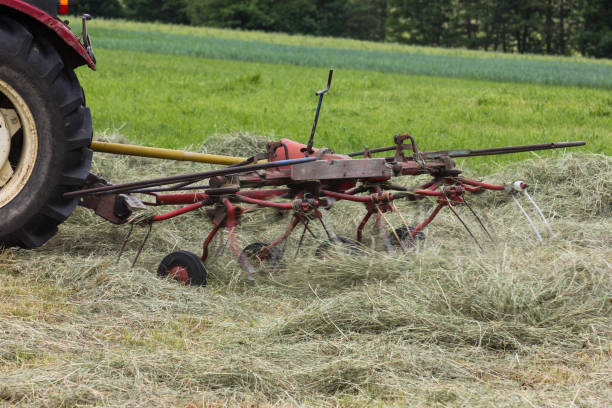 on a very sunny day in june in south germany you see tractor and farmer making hay for their animals food
