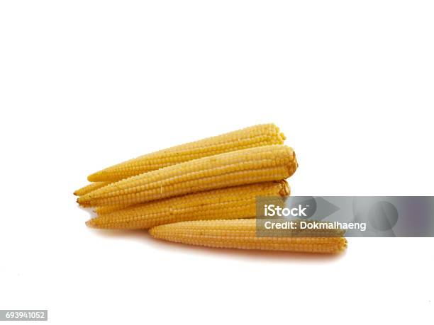 Baby Corn Vetgetable Of Isolated Stock Photo - Download Image Now - Baby - Human Age, Baby Corn, Chicken - Bird