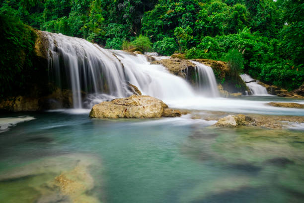 Aliwagwag waterfall Most cleanest and most beautiful Aliwagwag waterfall in Mindanao which is act as an important role for main irrigation in Cateel and Compostela area, Philippines davao city stock pictures, royalty-free photos & images