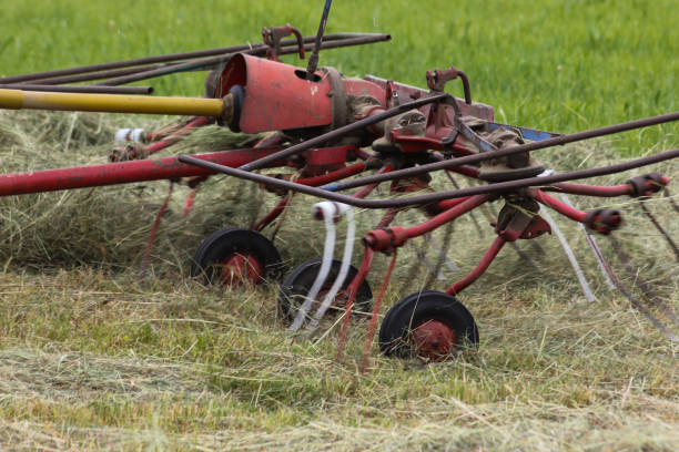istock haying tractor in german countryside in summer 693945968