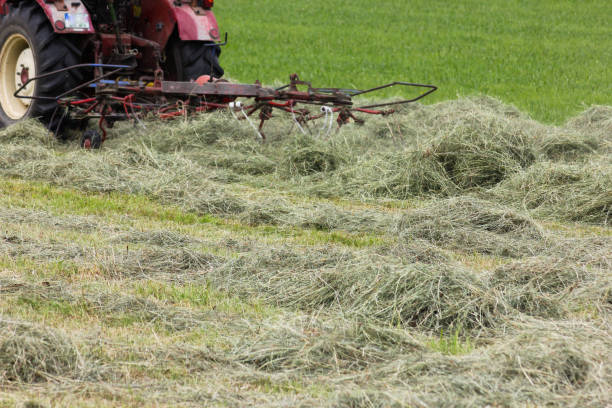 istock haying tractor in german countryside in summer 693946372