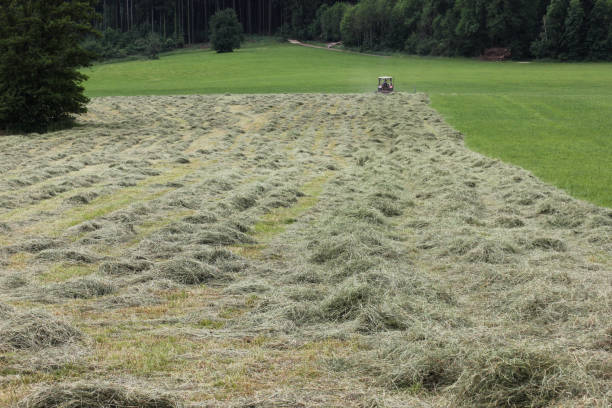 istock haying field in german countryside in summer 693947138