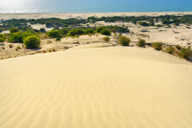 istock Sand dunes on Patara beach. Turkey 693959422