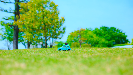 Car model and natural green