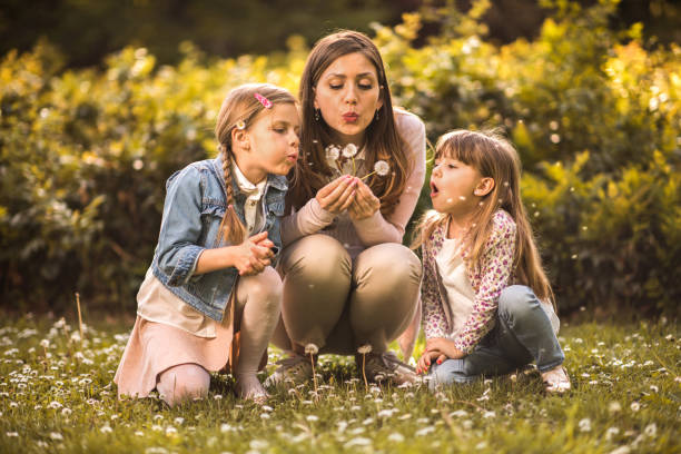 istock Single mother blowing dandelions with her two daughters in the park. 693975304