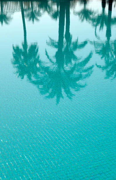 reflexion im schwimmbad - tranquil scene joy vacations high angle view stock-fotos und bilder