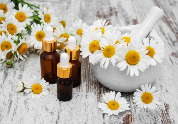 istock Essencial oil and camomile 693975972