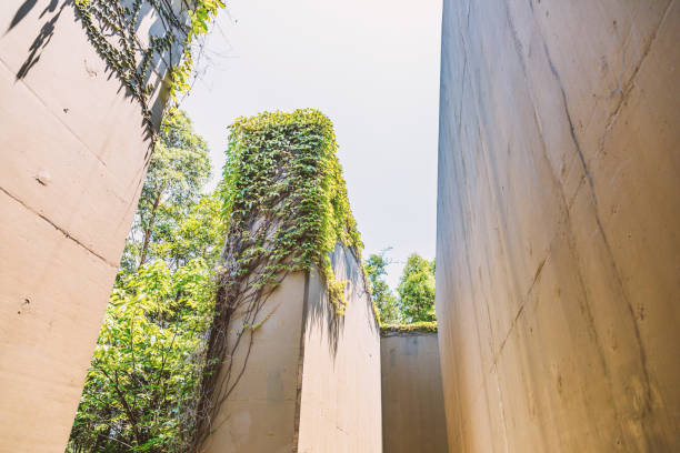 istock High wall of a abandoned and dried waterway 693980148