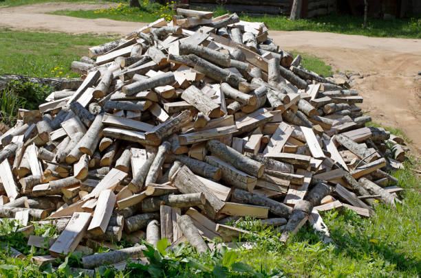 istock Big heap of firewood 693982742