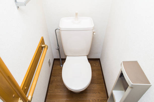 istock Rest room,Western style toilet 693983830
