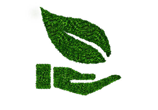 istock ECO sign, used by green leafs on white background 693983870