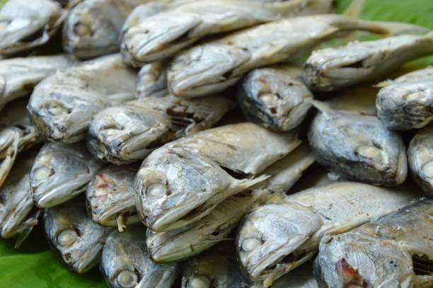istock boiled mackerel on fresh banana leaf 693984114