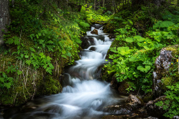 istock Cascades in a forest in Austria 693987094