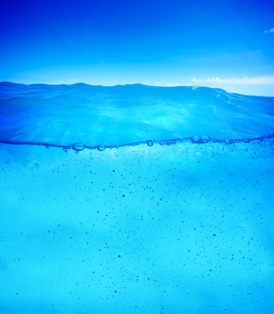 istock Underwater background ready for design. Clean and clear waterline 693988688