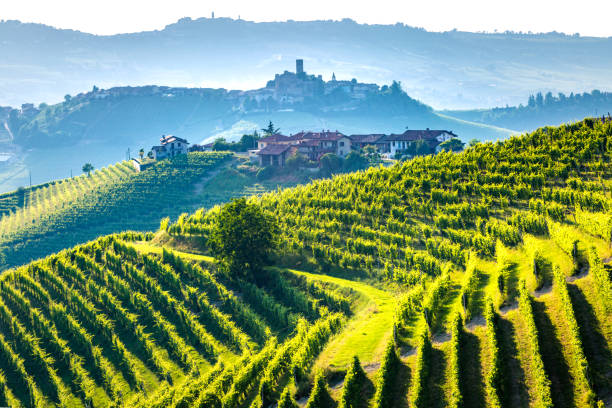 Barolo wine region, Langhe, Piedemont, Italy. Vineyards Barolo wine region, Langhe, Piedemont, Italy langhe photos stock pictures, royalty-free photos & images